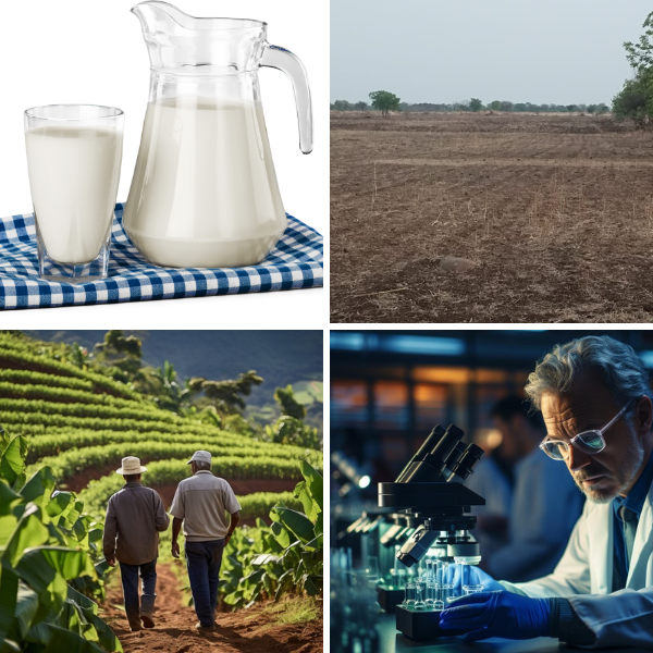 Wodye%20 %20Red%20Sandalwood%20Powder